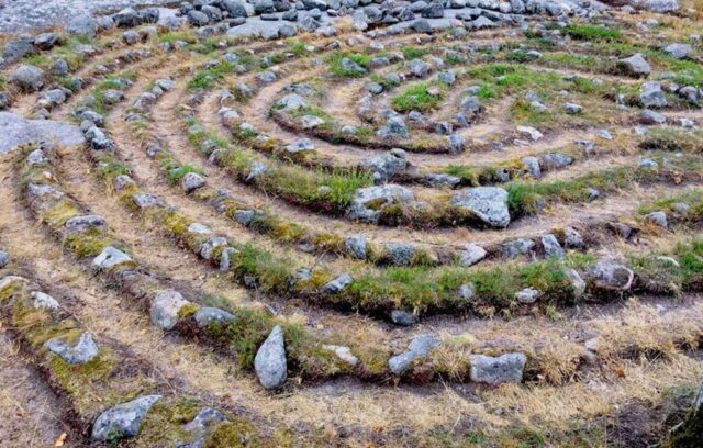 erasmus stockholm 02